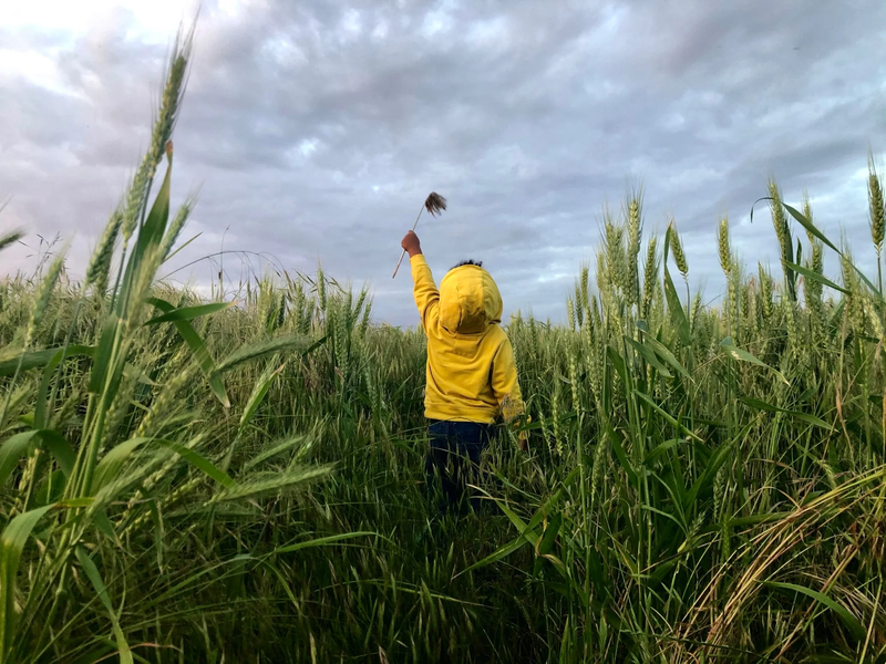  CHILDHOOD IN PANDEMIC YEARS by Diana Maria