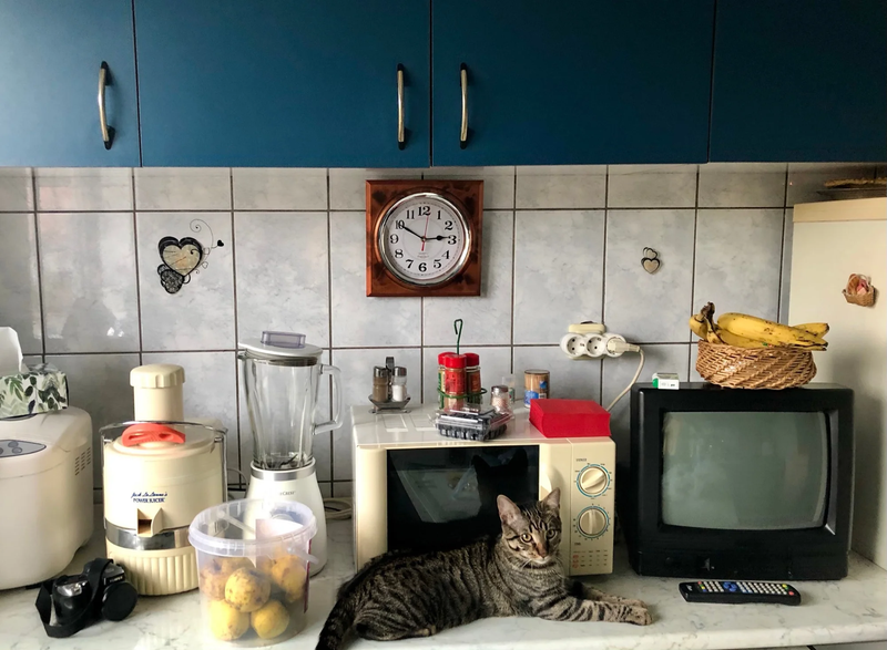  CHILDHOOD IN PANDEMIC YEARS by Diana Maria