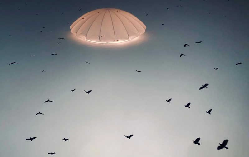  CHILDHOOD IN PANDEMIC YEARS by Diana Maria