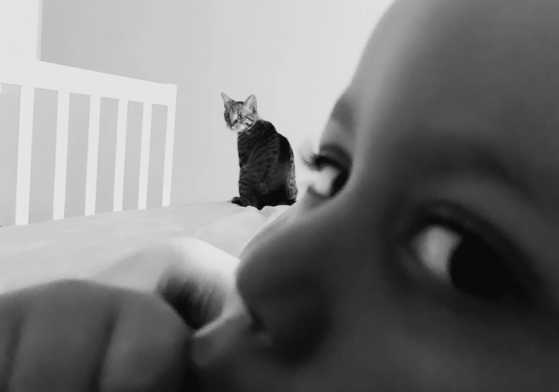  CHILDHOOD IN PANDEMIC YEARS by Diana Maria