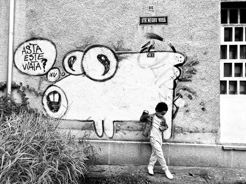  CHILDHOOD IN PANDEMIC YEARS by Diana Maria