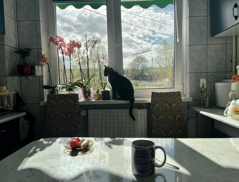  CHILDHOOD IN PANDEMIC YEARS by Diana Maria