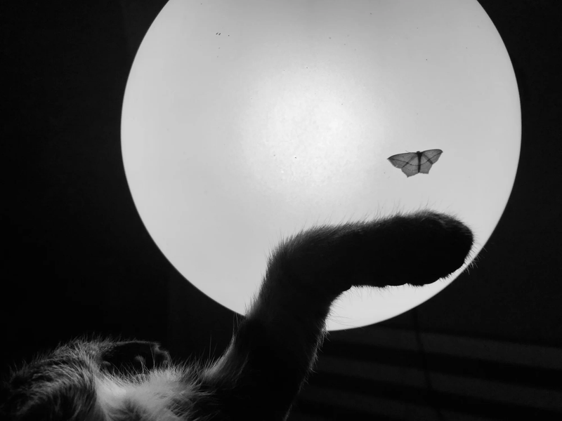  CHILDHOOD IN PANDEMIC YEARS by Diana Maria