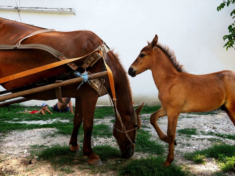 REPUBLICA MOLDOVA by Diana Maria