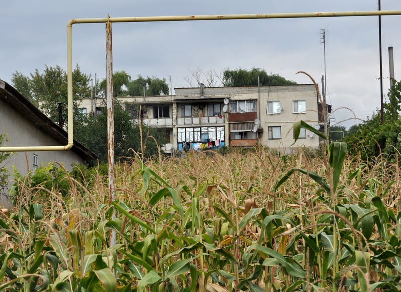 REPUBLICA MOLDOVA by Diana Maria