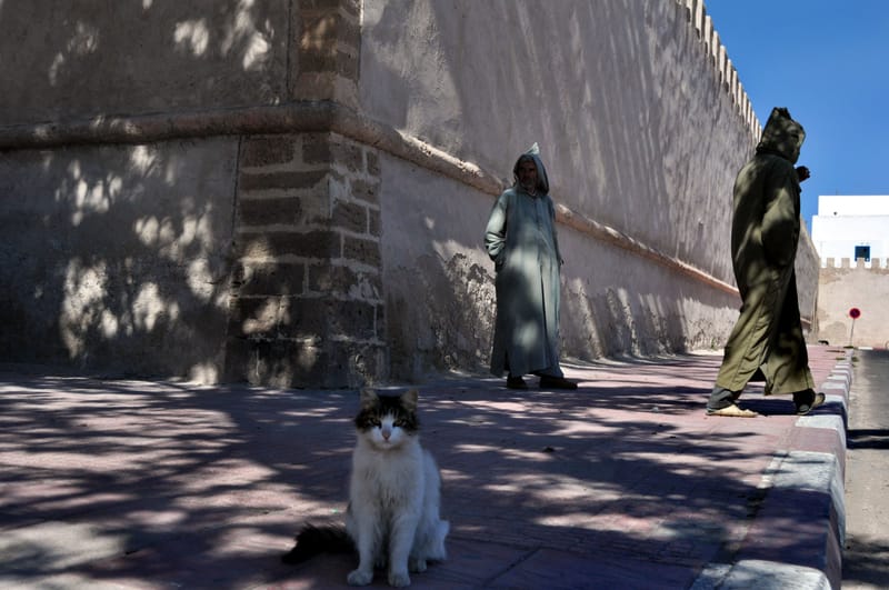 MAROC by Diana Maria