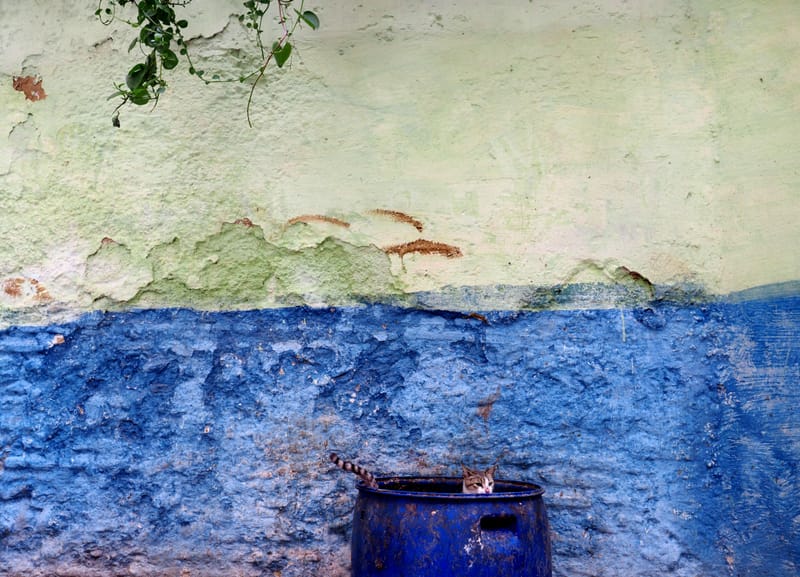 MAROC by Diana Maria