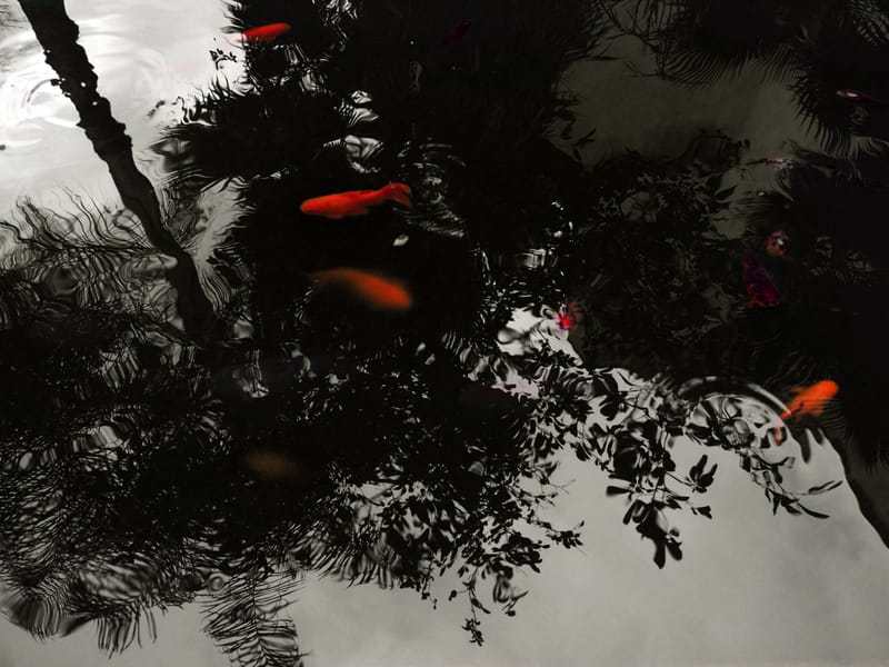 MAROC by Diana Maria