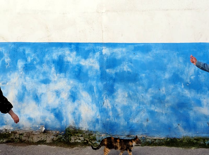 MAROC by Diana Maria