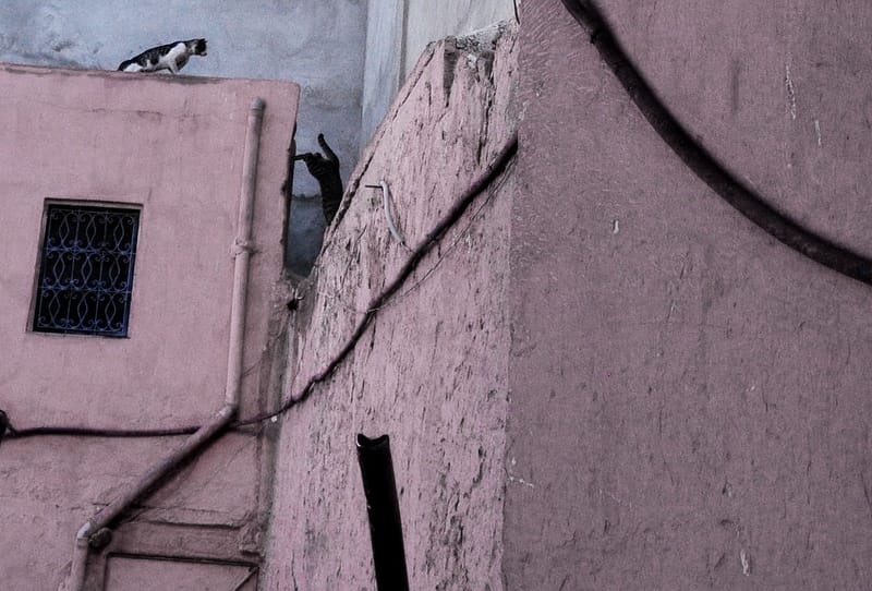 MAROC by Diana Maria