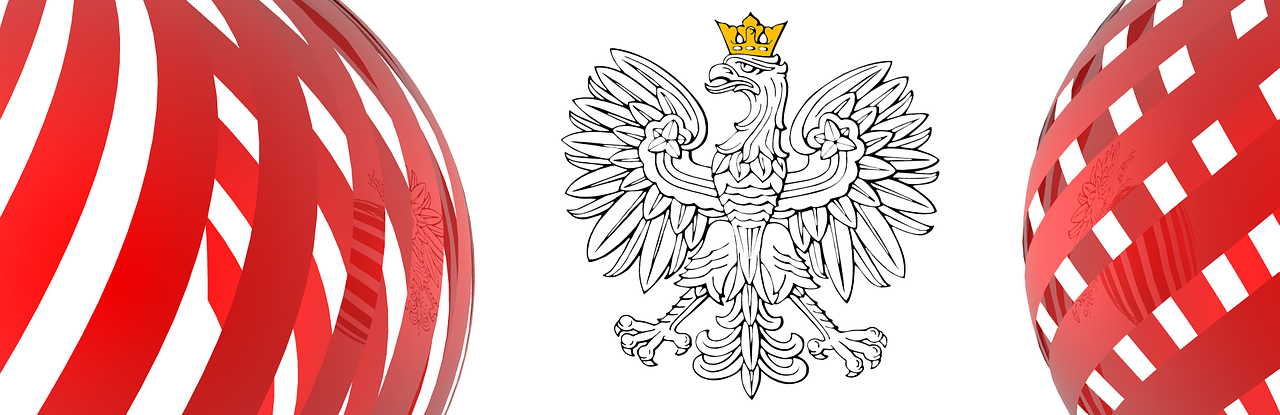 What is the procedure for confirming Polish citizenship and obtaining a Polish passport - step by step