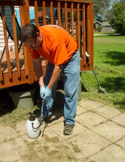 How Pest Control Keeps You Safe? image