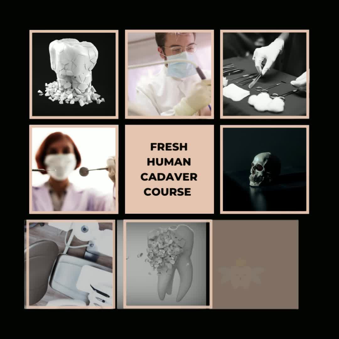 Social Media Promo Videos