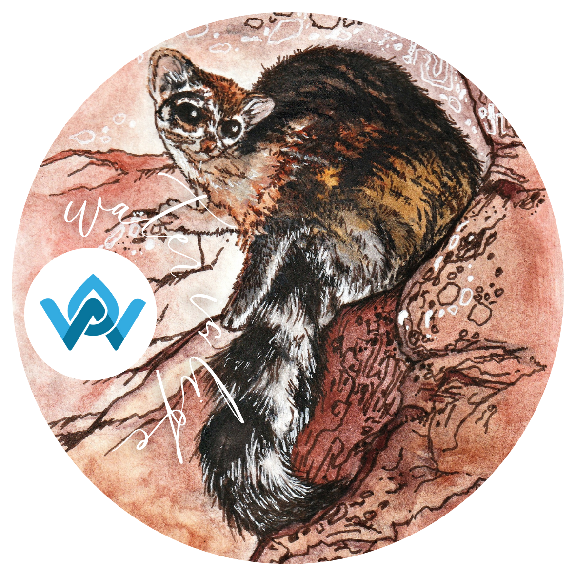 Illustration Project (T-shirts, Postcards,  Stickers)