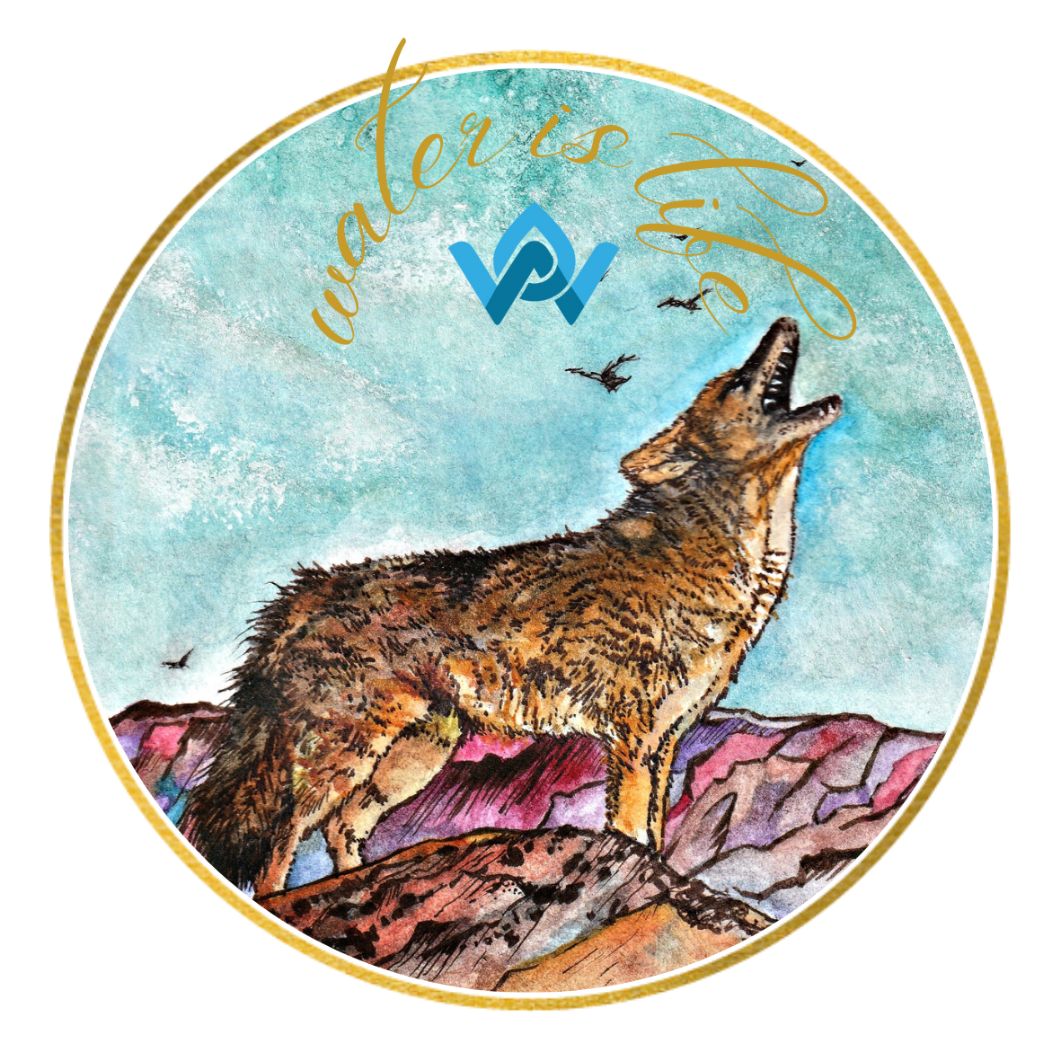 Illustration Project (T-shirts, Postcards,  Stickers)