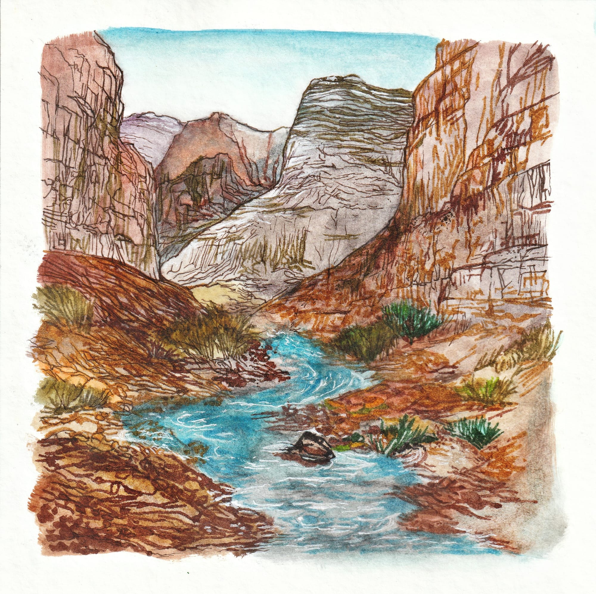 Illustration Project (T-shirts, Postcards,  Stickers)