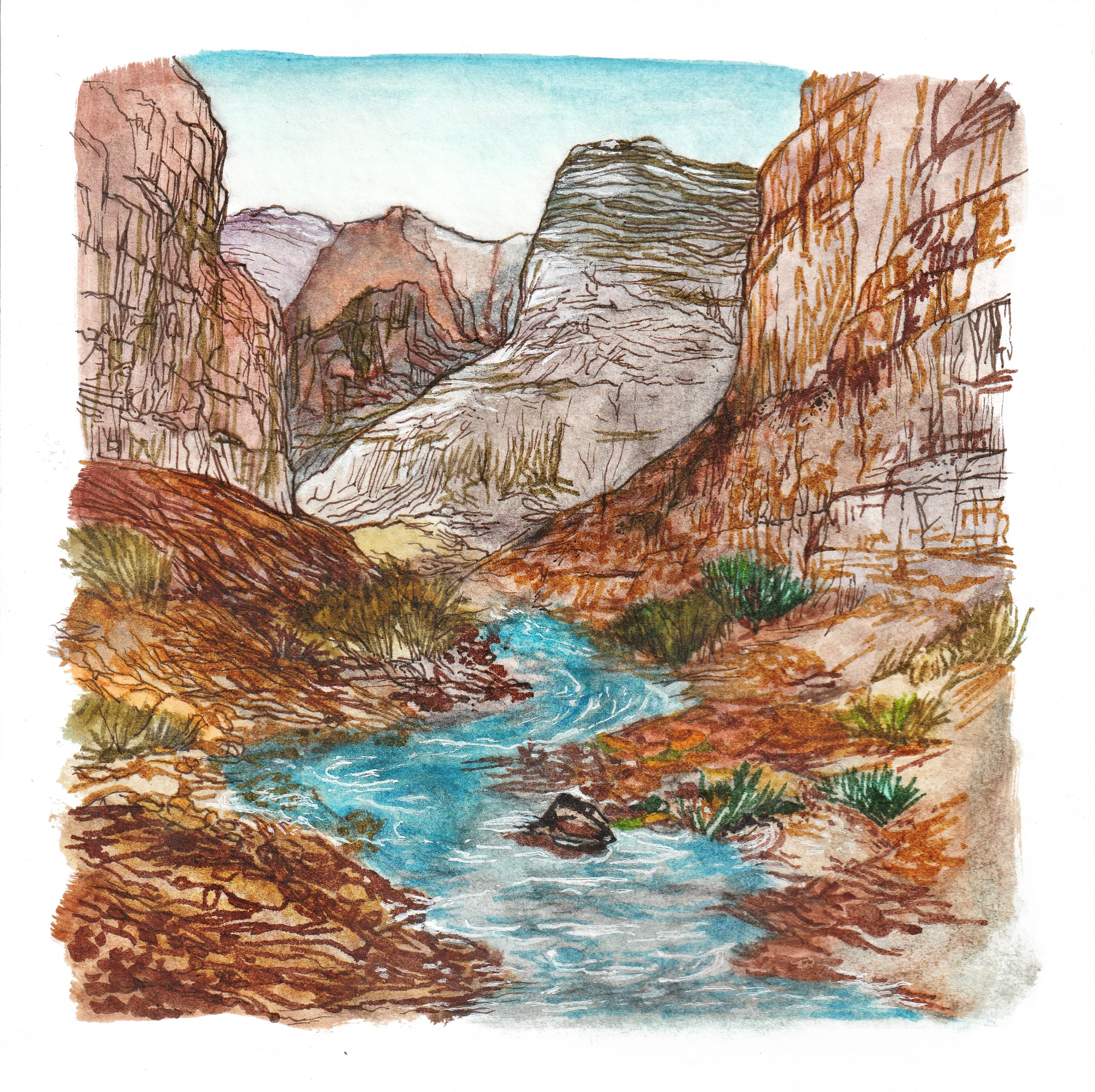 Illustration Project (T-shirts, Postcards,  Stickers)