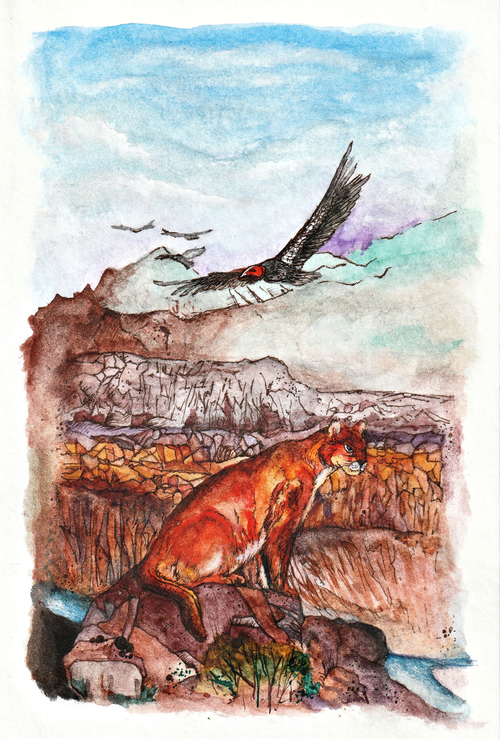 Illustration Project (T-shirts, Postcards,  Stickers)