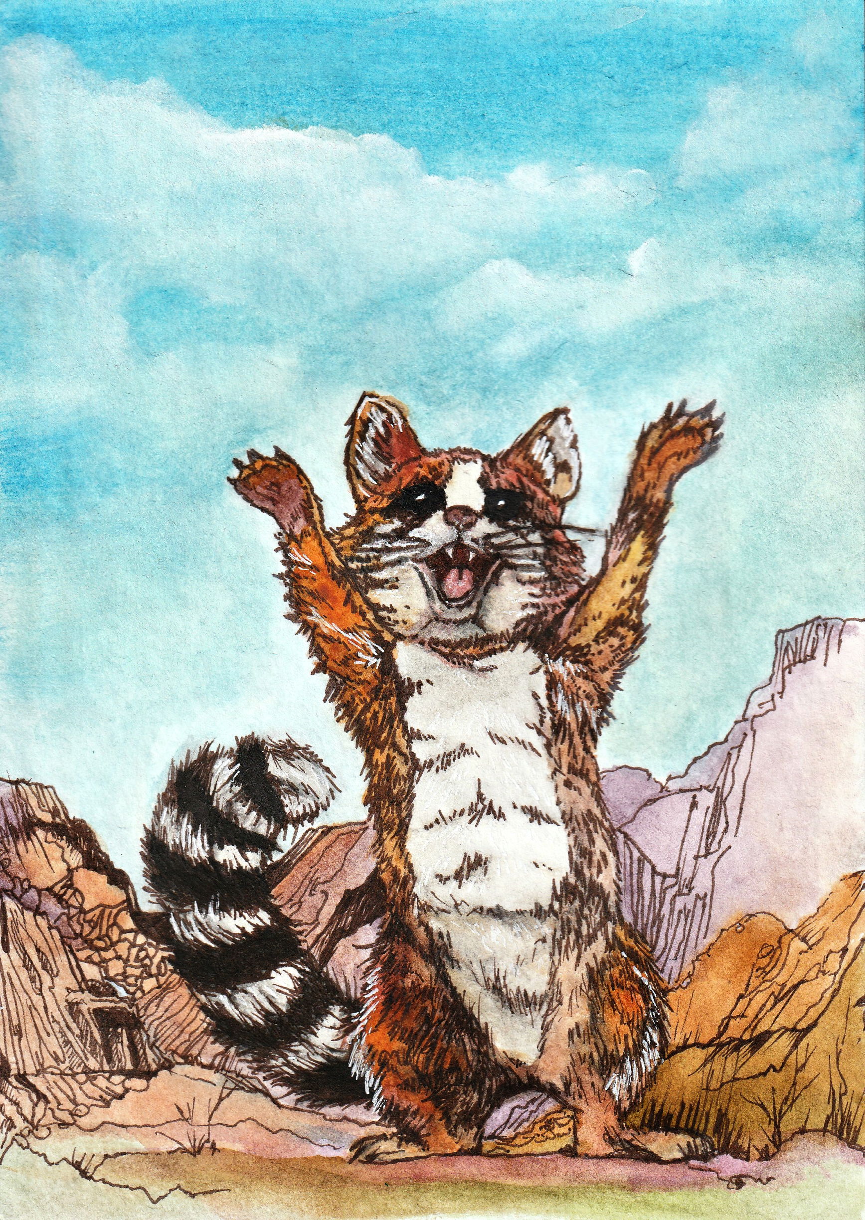 Illustration Project (T-shirts, Postcards,  Stickers)