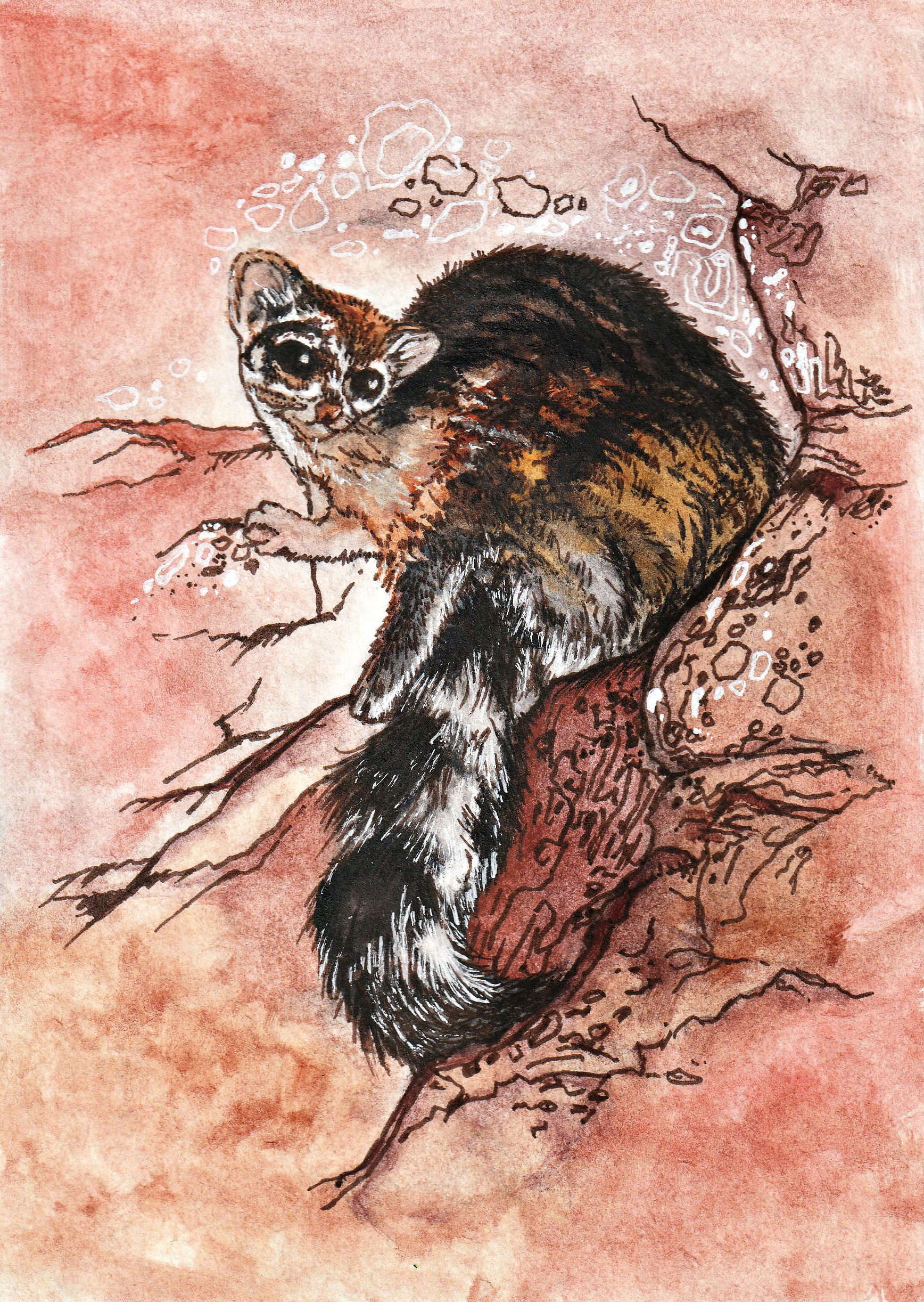 Illustration Project (T-shirts, Postcards,  Stickers)