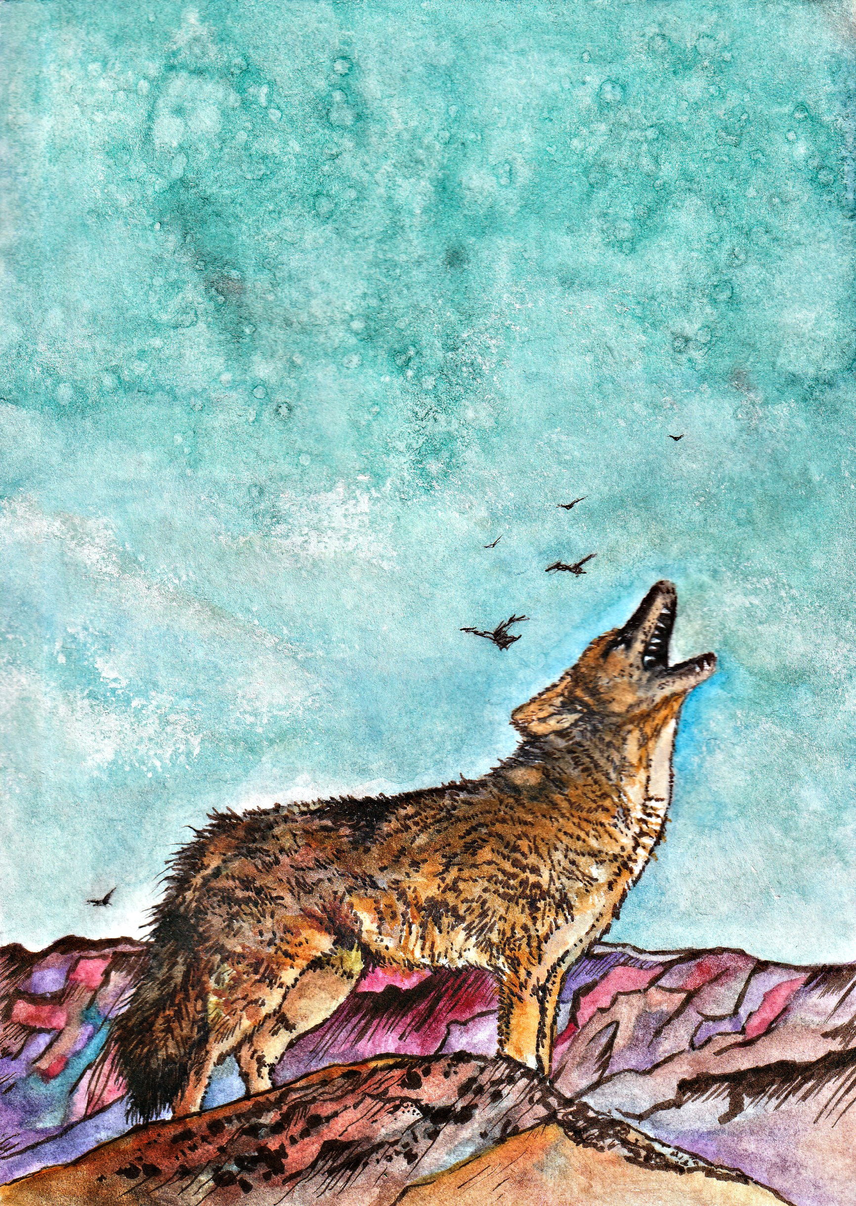 Illustration Project (T-shirts, Postcards,  Stickers)