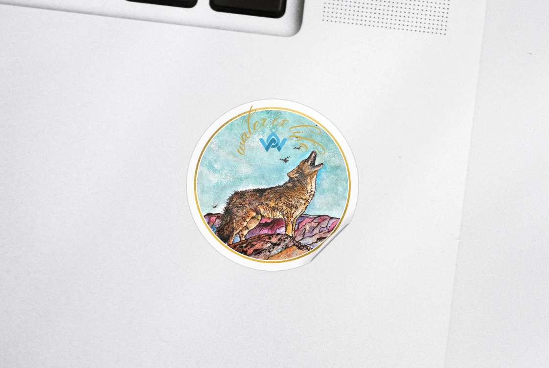 Illustration Project (T-shirts, Postcards,  Stickers)