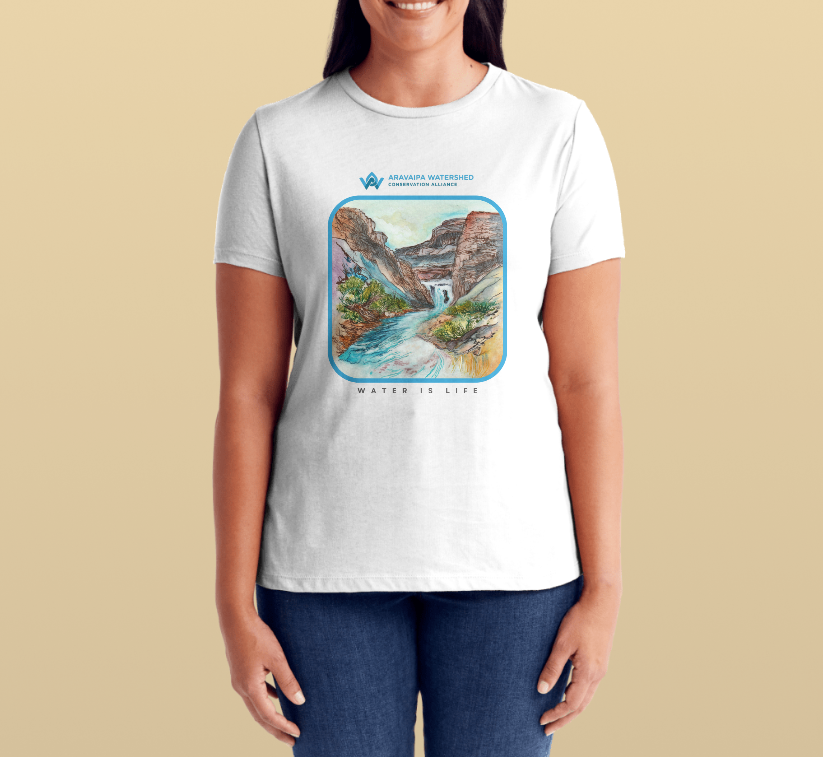 Illustration Project (T-shirts, Postcards,  Stickers)