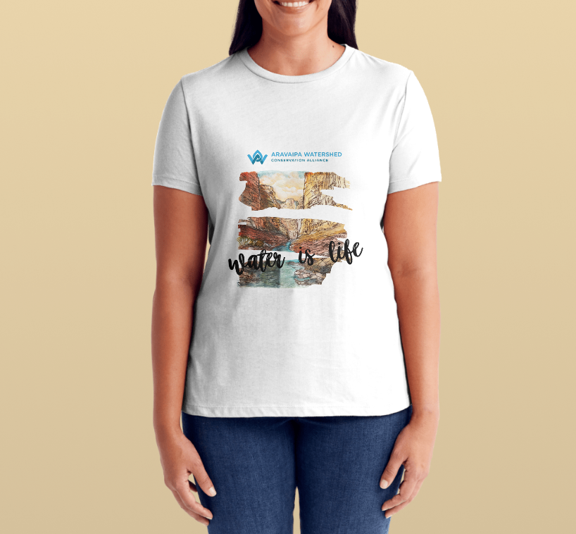 Illustration Project (T-shirts, Postcards,  Stickers)