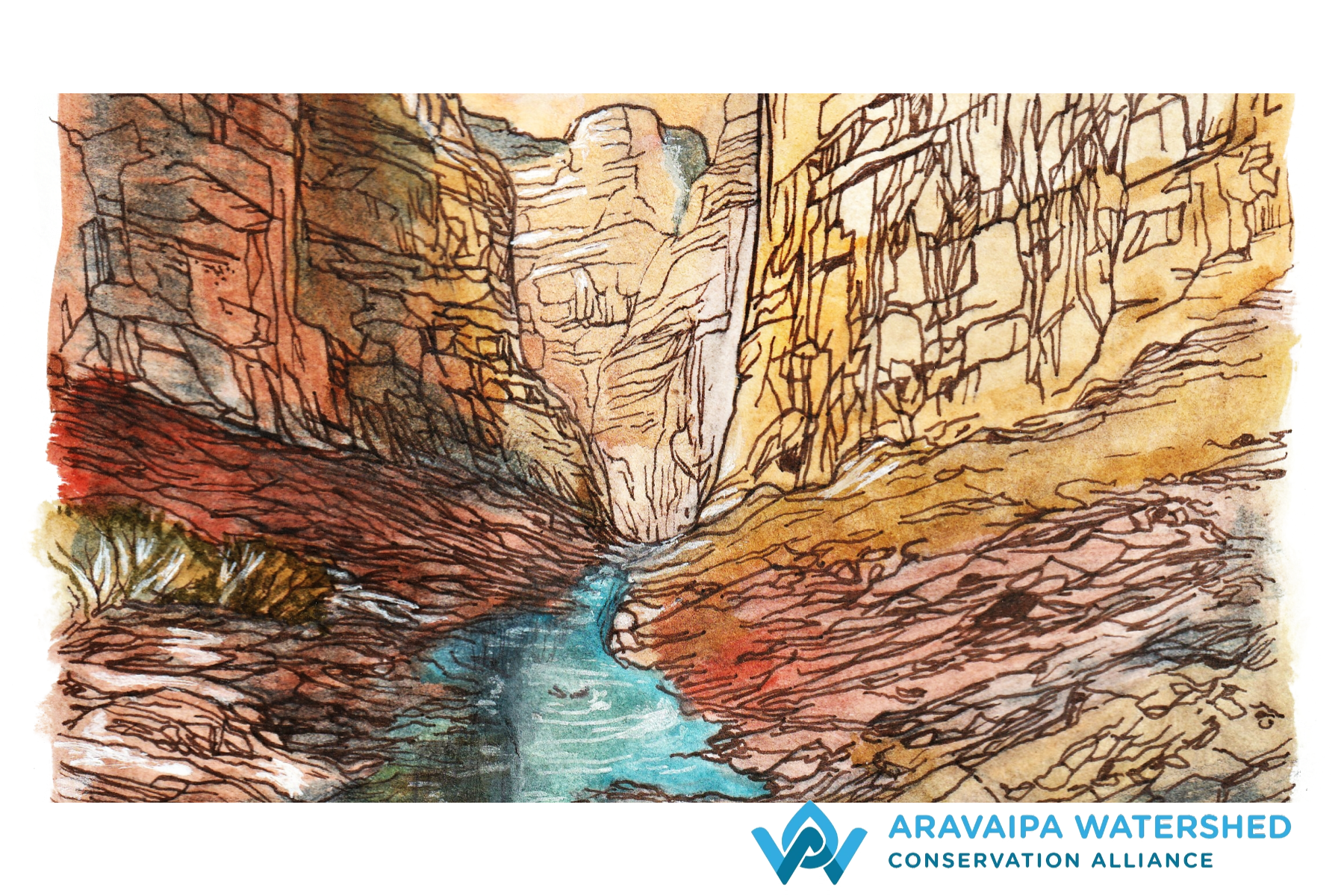 Illustration Project (T-shirts, Postcards,  Stickers)