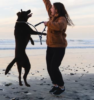 קפיצות על אנשים