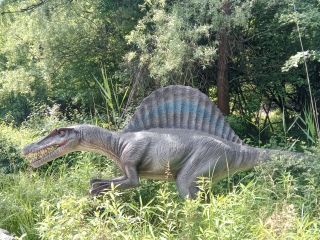 Kereki - Dínó park