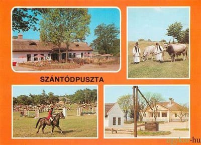 Szántódpuszta - Majorság