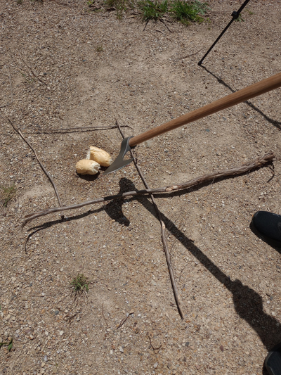 Harvest blot and Landtaking ritual