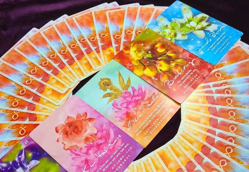 Akasha Flower Card Healing 阿卡莎花卡療癒