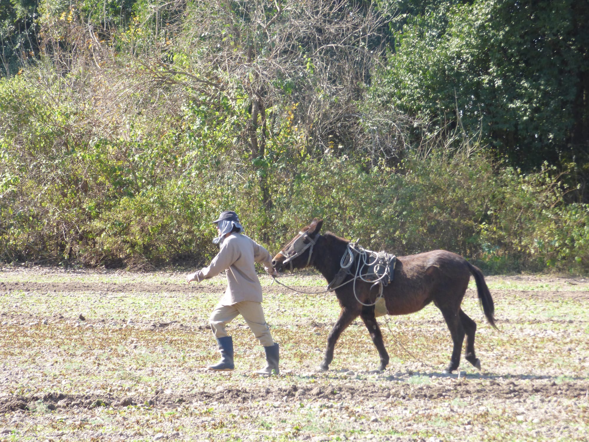 110 Salón Nacional de Artes Visuales