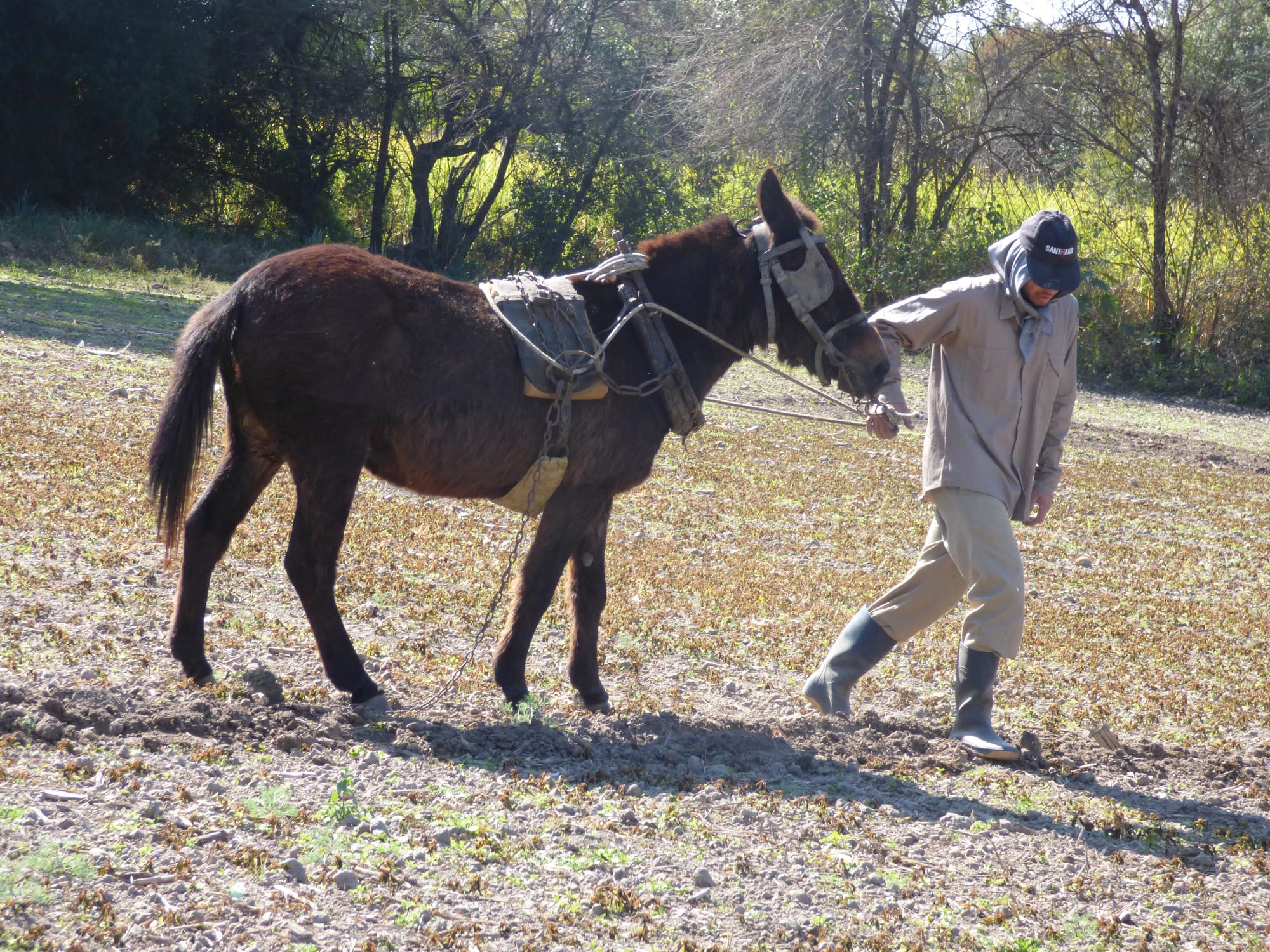 110 Salón Nacional de Artes Visuales