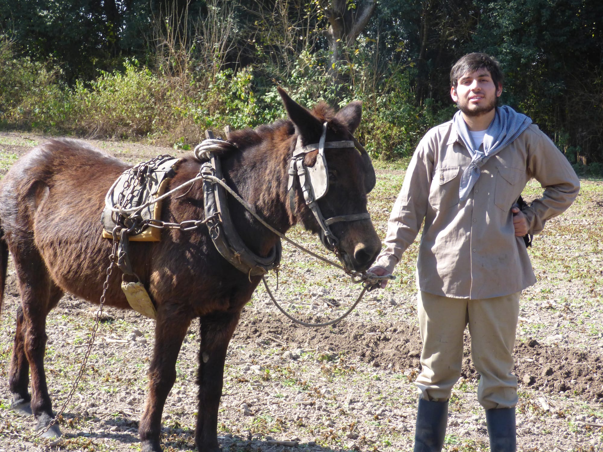 110 Salón Nacional de Artes Visuales
