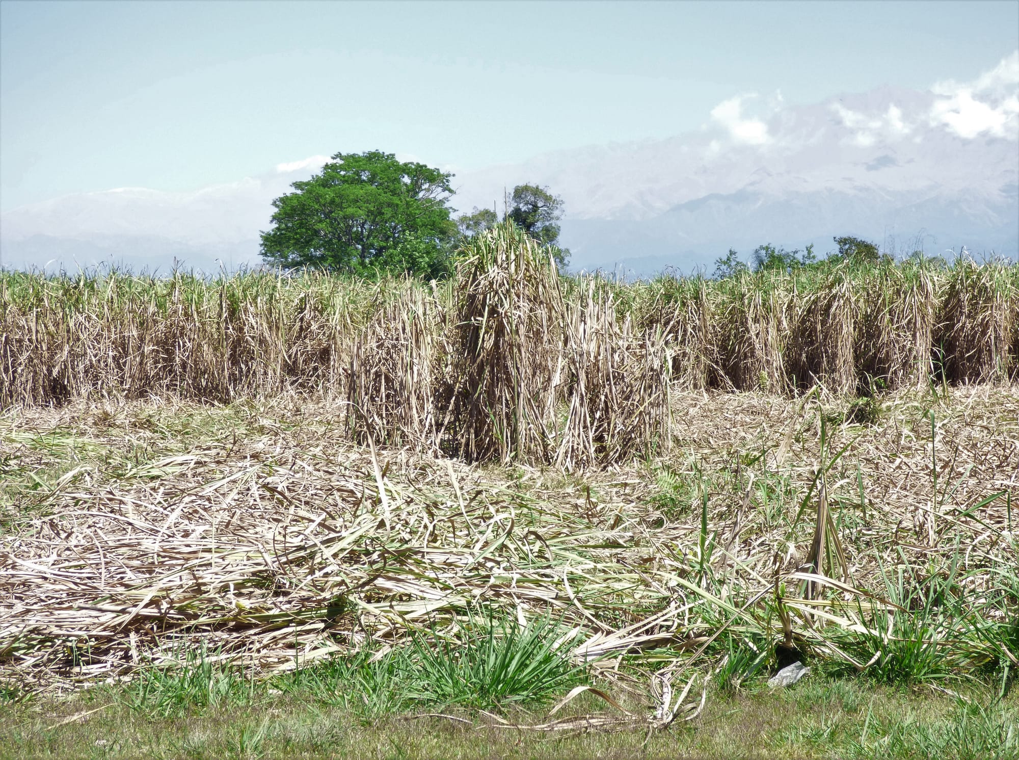 2º premio en el 11º Premio Itaú a las artes visuales. 2020.