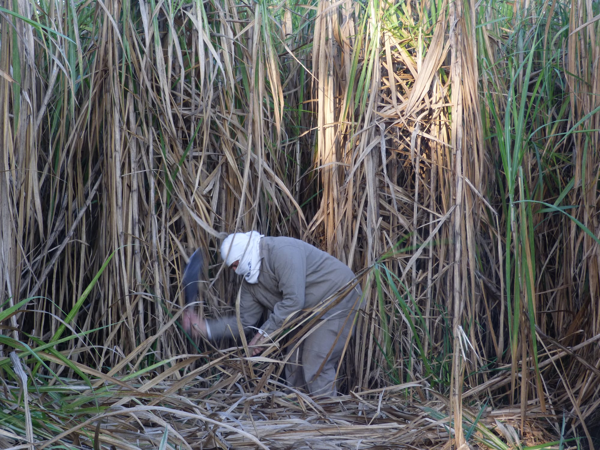 2º premio en el 11º Premio Itaú a las artes visuales. 2020.