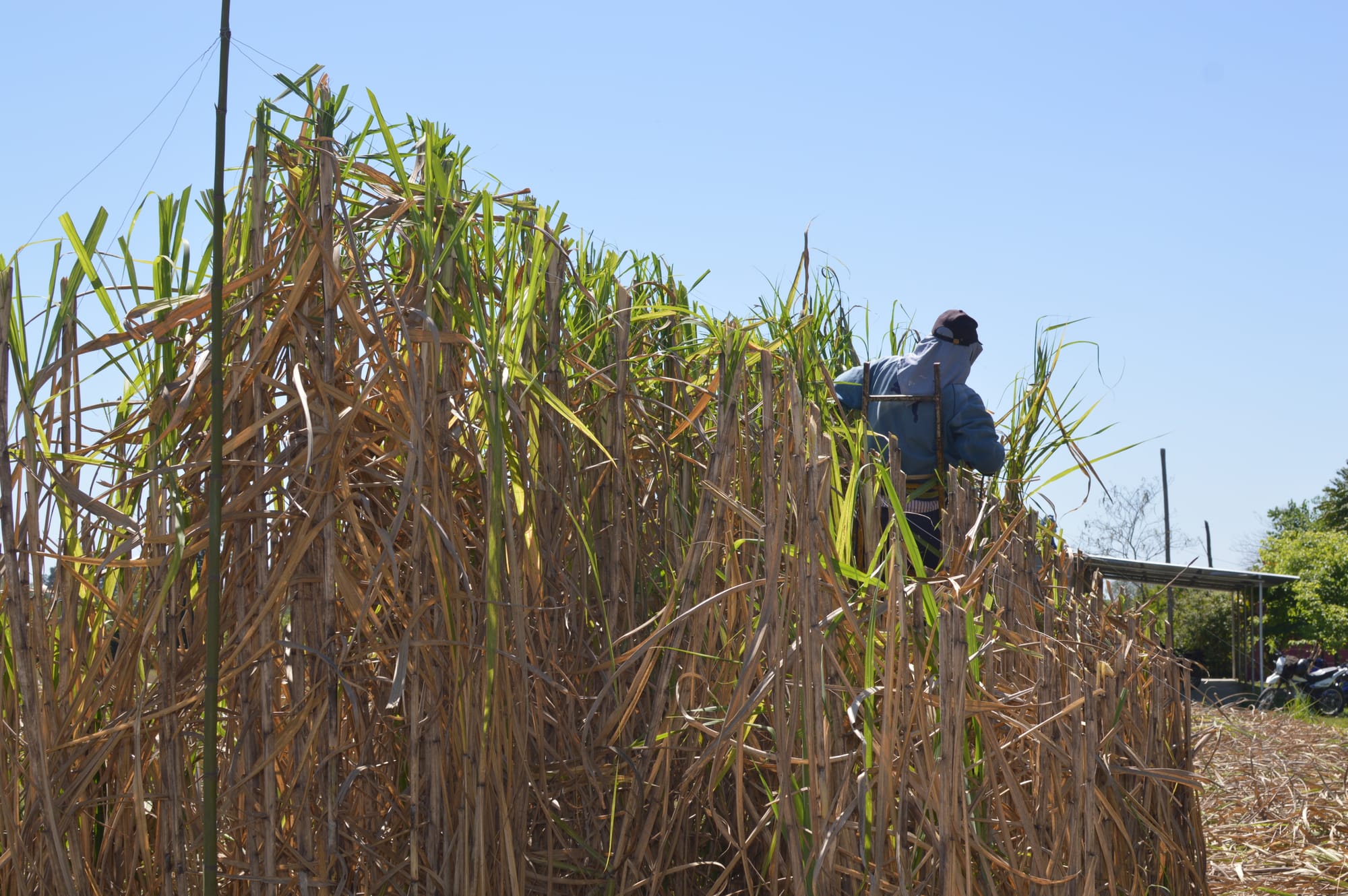 2º premio en el 11º Premio Itaú a las artes visuales. 2020.