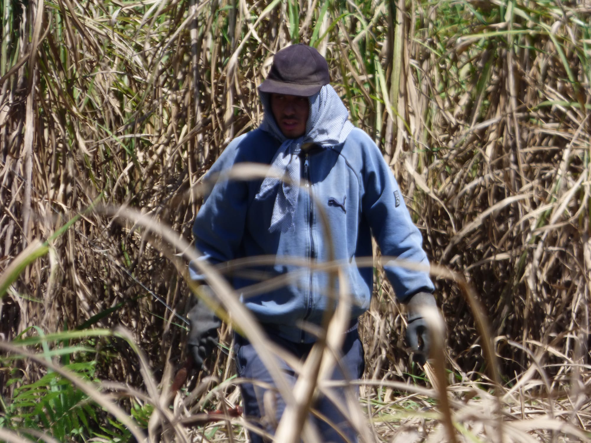 2º premio en el 11º Premio Itaú a las artes visuales. 2020.