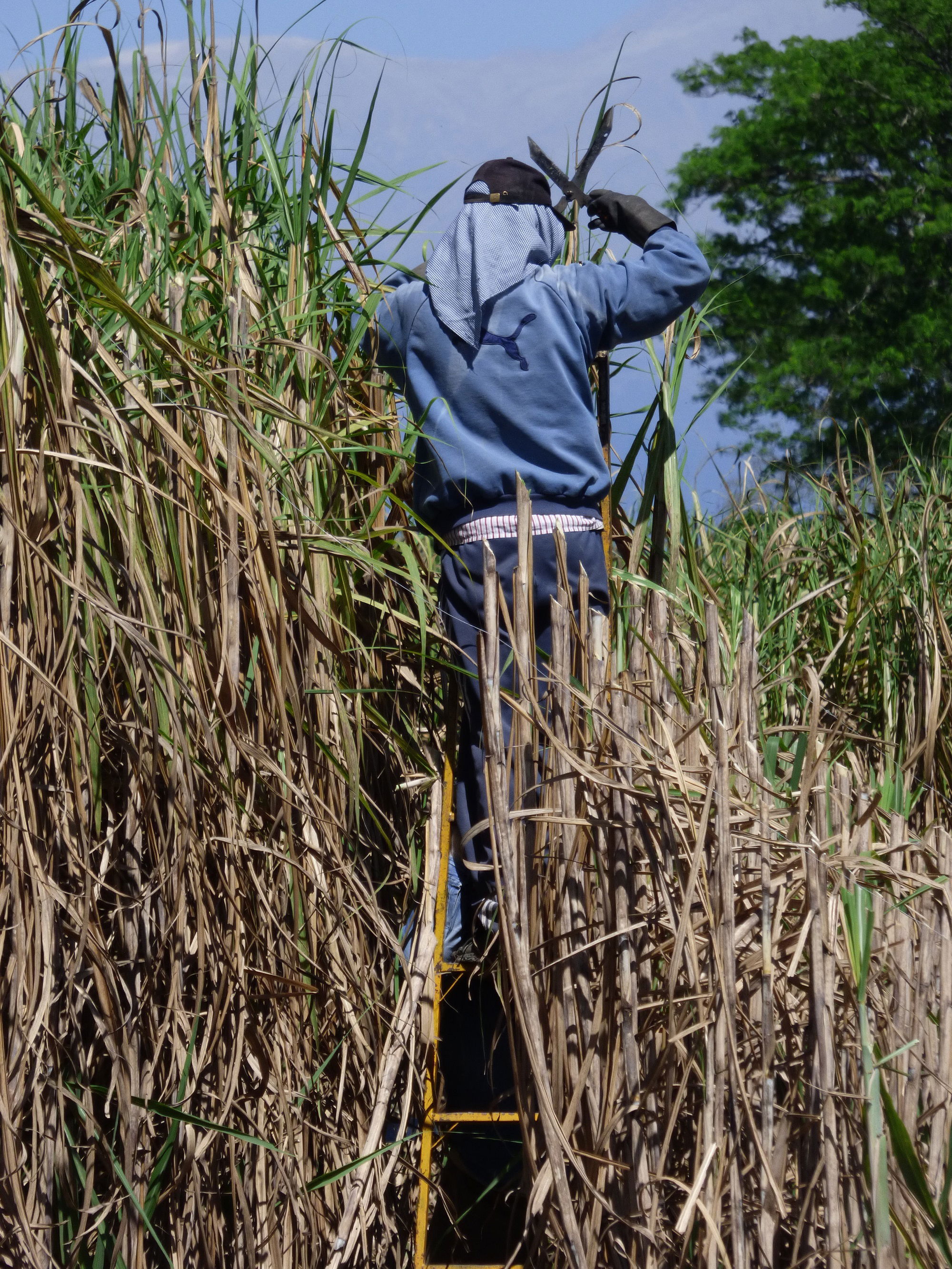 2º premio en el 11º Premio Itaú a las artes visuales. 2020.