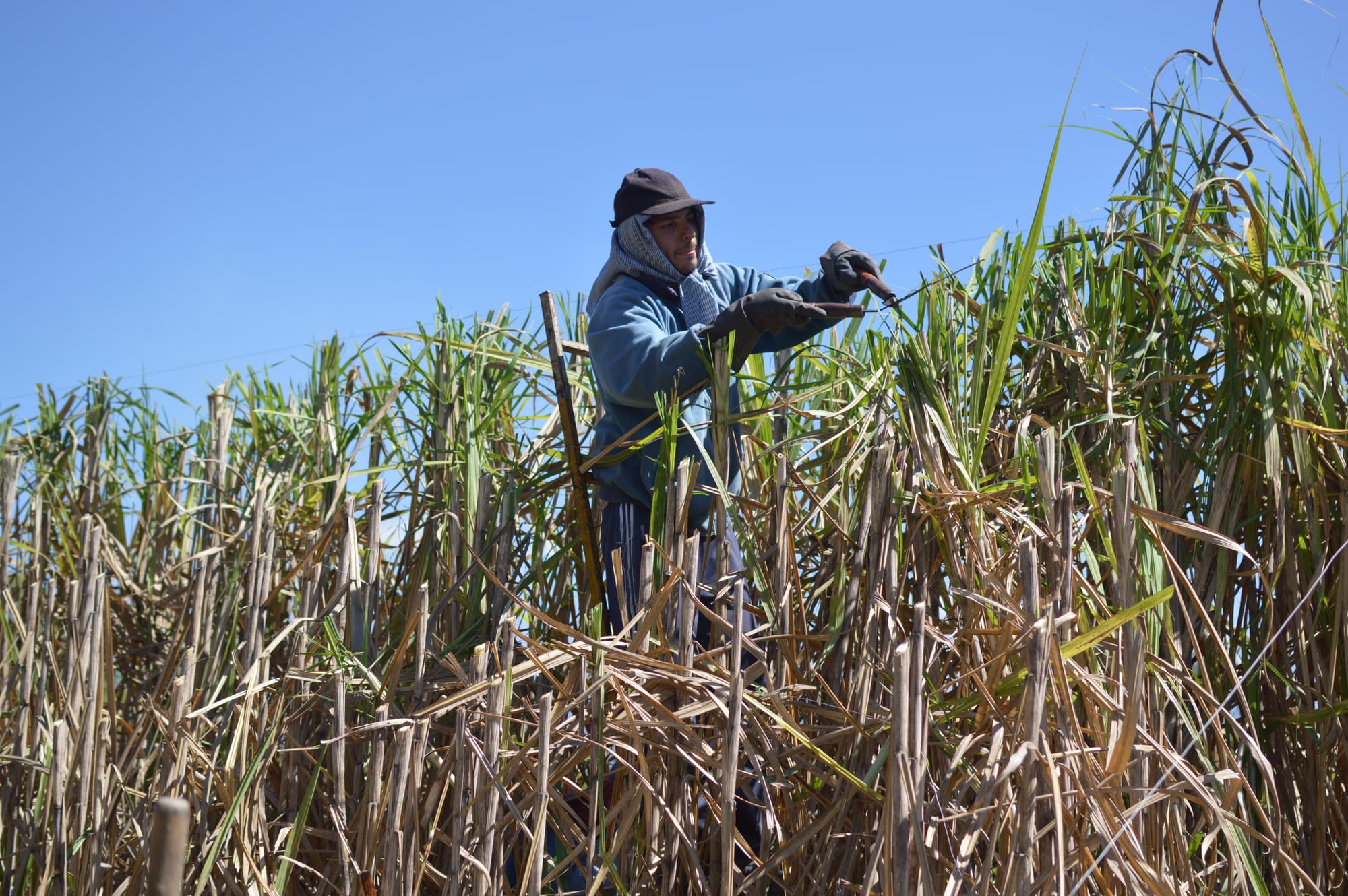 2º premio en el 11º Premio Itaú a las artes visuales. 2020.