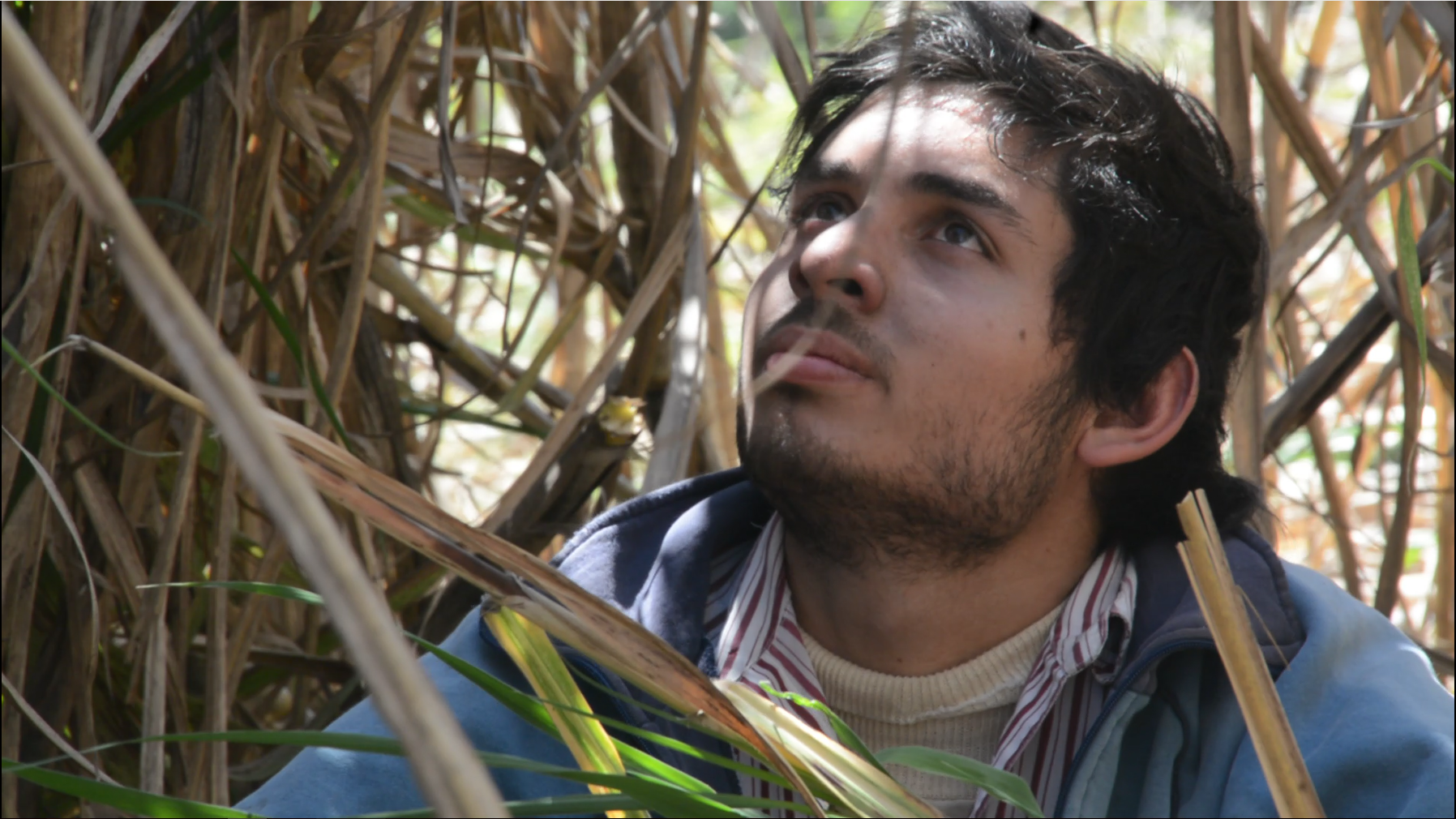 2º premio en el 11º Premio Itaú a las artes visuales. 2020.