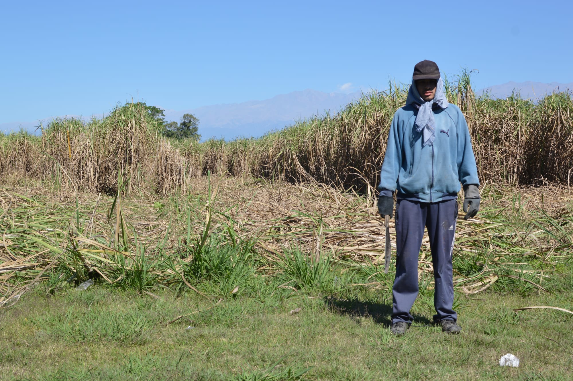 2º premio en el 11º Premio Itaú a las artes visuales. 2020.