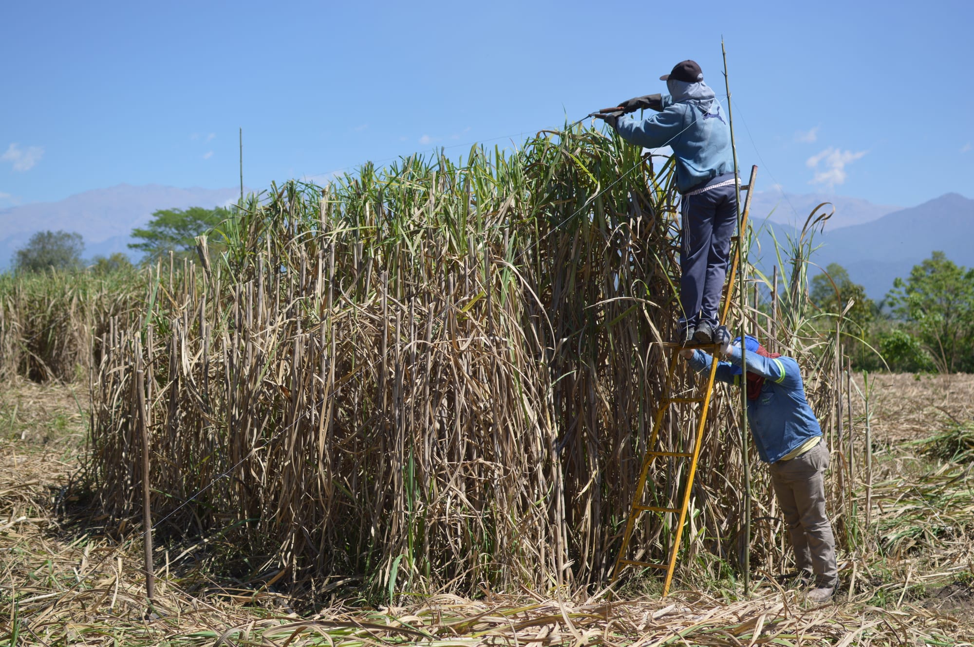 2º premio en el 11º Premio Itaú a las artes visuales. 2020.