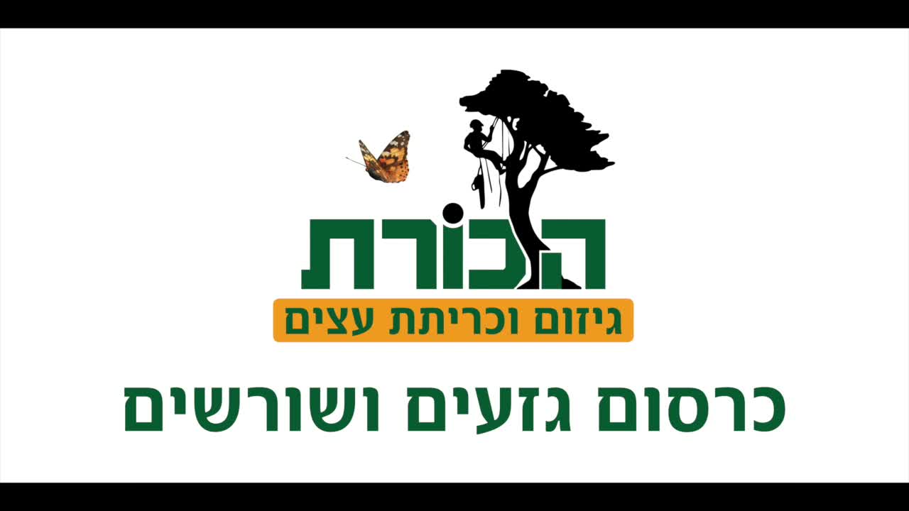 כרסום גזעים