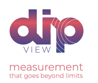 DIP-View site web 1