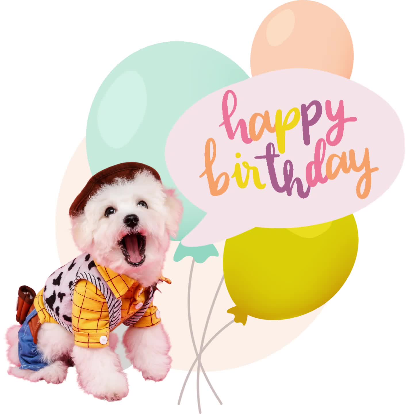 ערכת 30 מדבקות דיגיטליות מונפשות או סטטיות בהתאמה אישית- לווטסאפ/ רשתות חברתיות