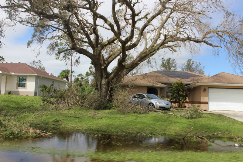 Maximizing Your Settlement: